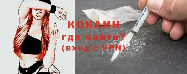 spice Алзамай