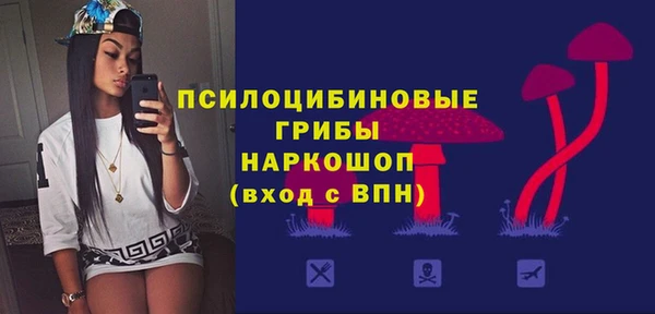 spice Алзамай