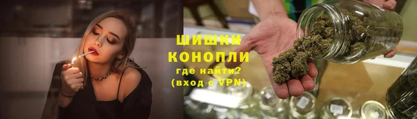 spice Алзамай