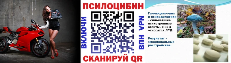 Псилоцибиновые грибы мицелий  Купить  Ивангород 